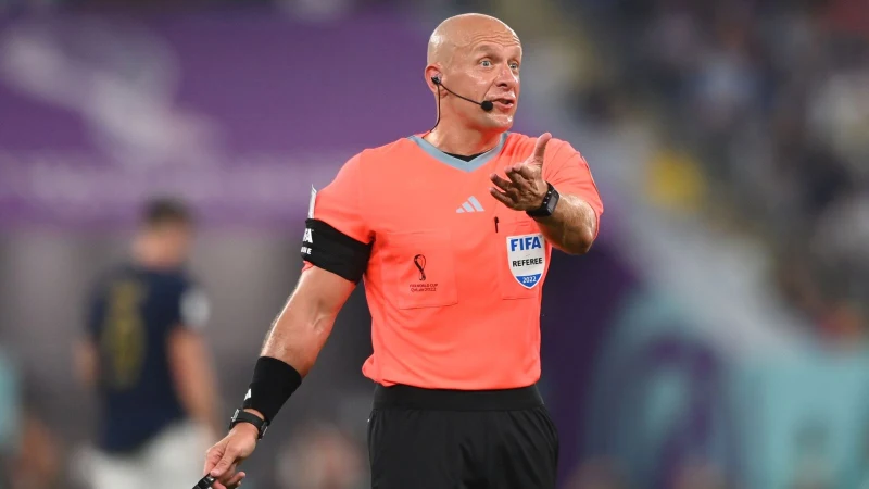 What kind of referee is a FIFA referee?